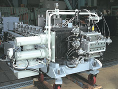 Dual type screen changer