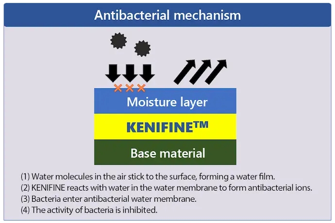 Antibacterial mechanism