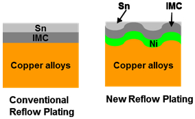 Cross section of tin-plated copper alloy