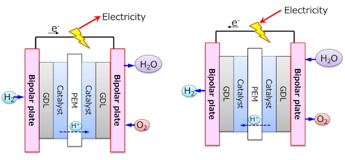 Fuel cell and the water electrolyzer