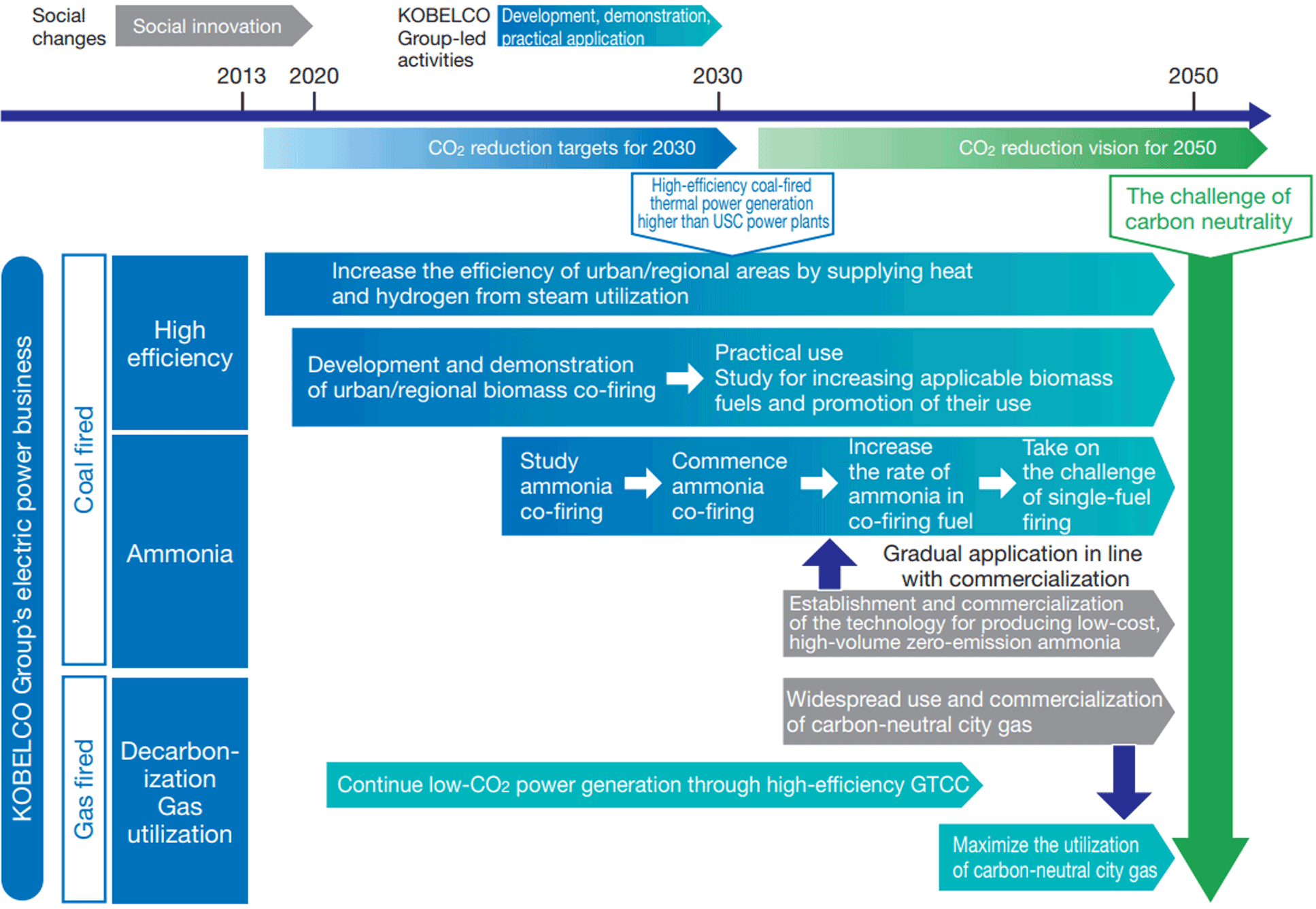 Roadmap for Carbon Neutrality in the Electric Power Business