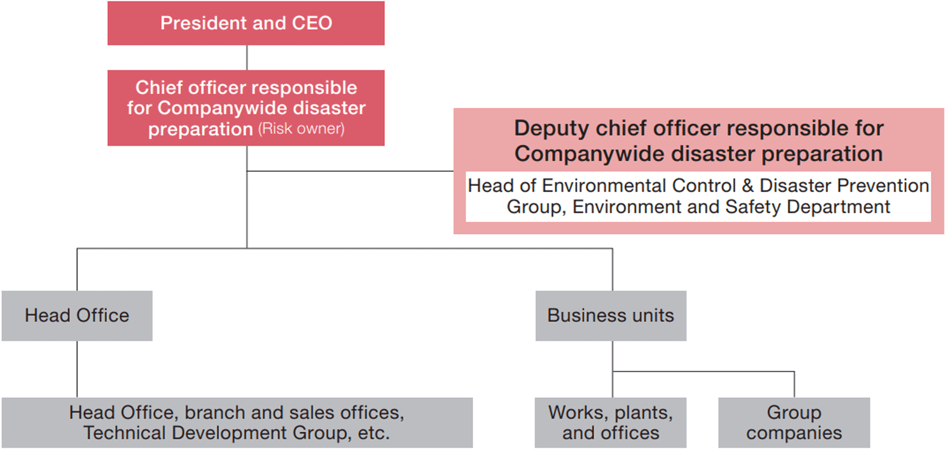 Companywide Disaster Preparation Management Structure