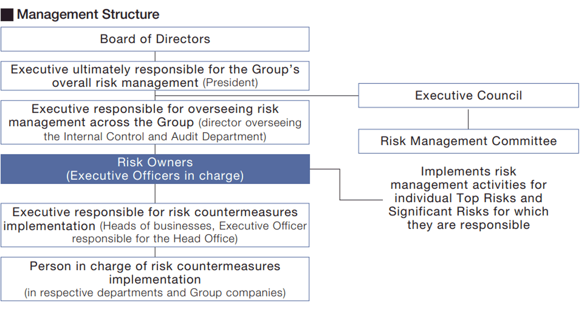 Management Structure