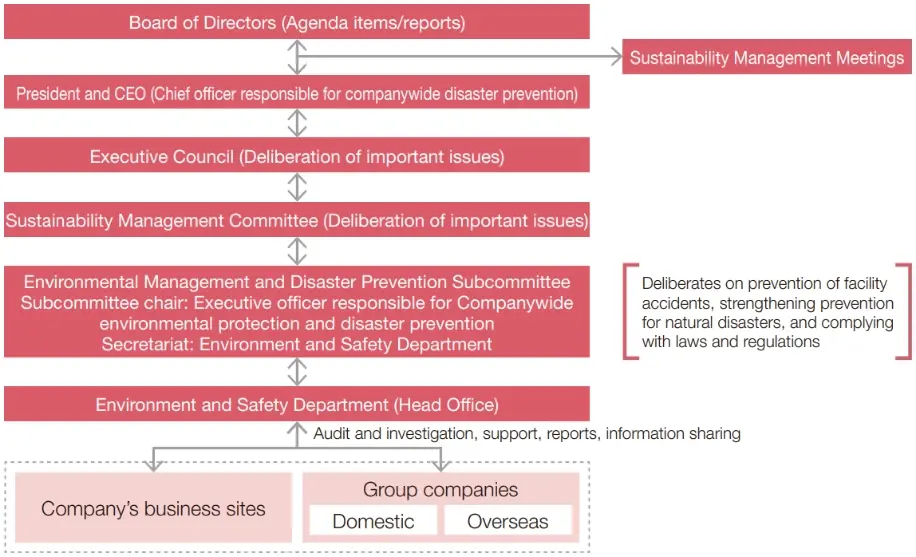 Management Structure Chart