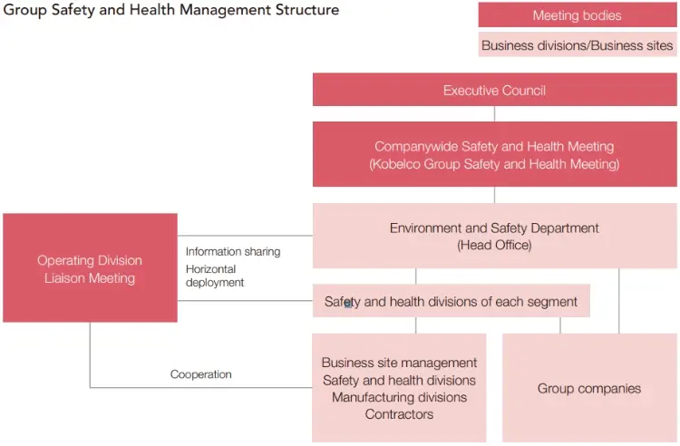 Group Safety and Health Management Structure