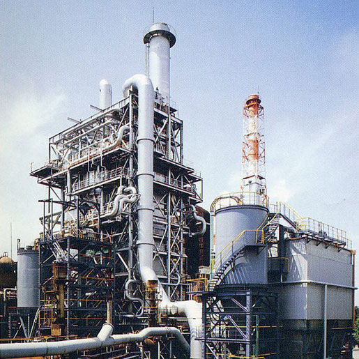 Coal-fired steam boiler