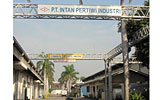 P.T. Intan Pertiwi Industri