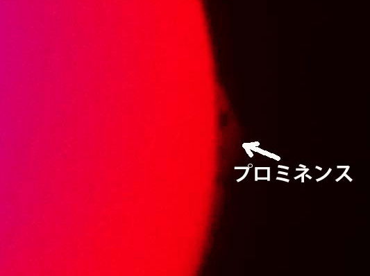 ＜講演会＞<br>「知っているようで知らない太陽の話」<br>「牧野富太郎と京阪神」<br>｜灘浜サイエンススクエア
