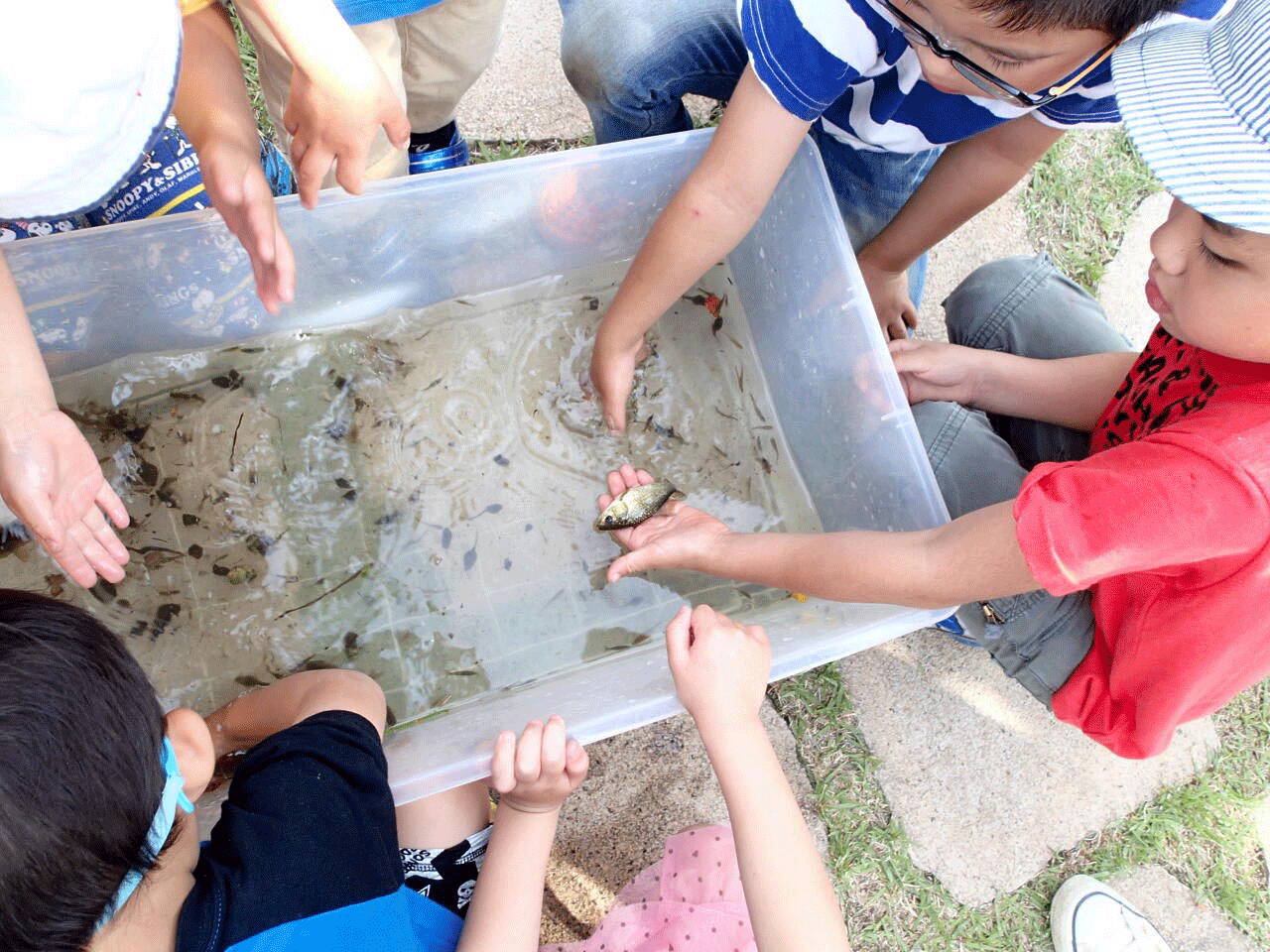 <夏休み子ども自然教室><br>土壌生物の観察&ビオトープの生き物観察<br>|灘浜サイエンススクエア