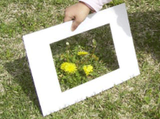 ＜子ども自然教室＞<br>ネイチャーゲーム<br>｜灘浜サイエンススクエア