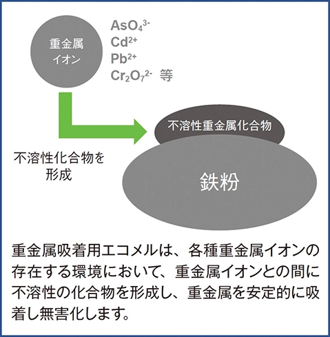 重金属吸着用エコメルは、各種重金属イオンの存在する環境において、重金属イオンとの間に不溶性の化合物を形成し、重金属を安定的に吸着し無害化します。
