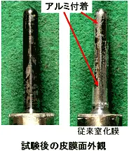 試験後の皮膜面外観