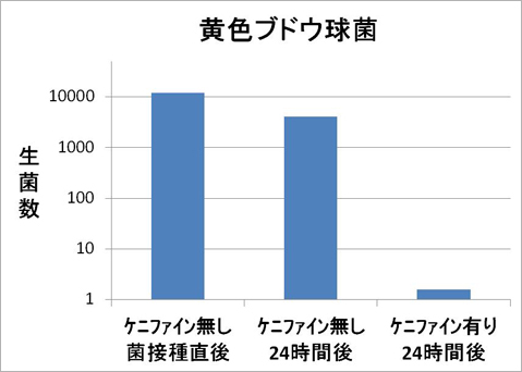 図1