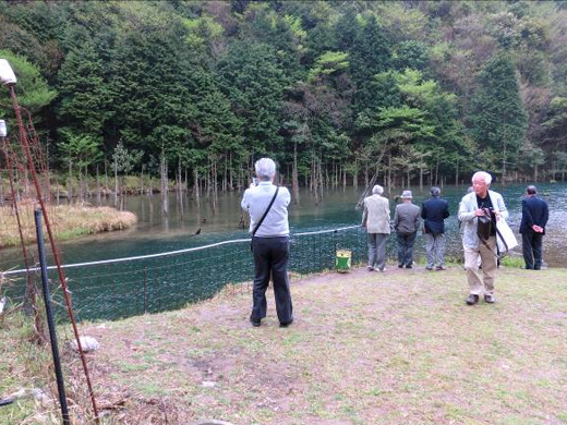桜公園見学　2019年4月19日