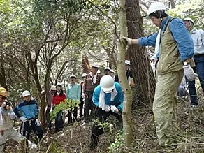 メンバーに見守れながらの間伐作業デモンストレーション。