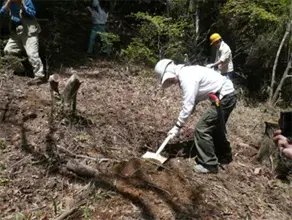 六甲山のヤマザクラを記念植樹しました。