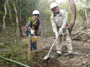 神鋼環境メンテナンスからの参加者による植樹。
