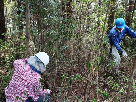 下草の茂った山道西側のエリアへ範囲を広げて、整備を行いました。