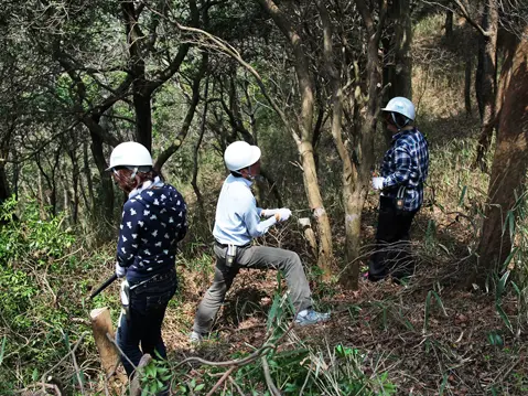 間伐が進み、日が差し込みはじめました。