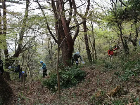 整備が進み、山道付近はどんどん明るくなっていきます。