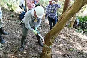 安全第一！の間伐作業はハラハラドキドキ