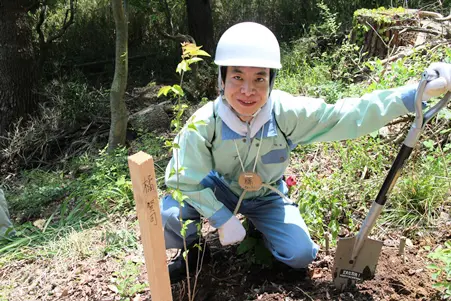 ヤマザクラの植樹
