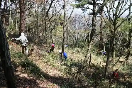 一心不乱にネザサ刈り