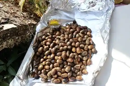 木の実のおやつ