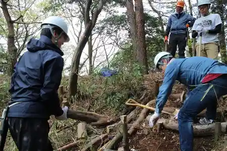 順調に歩道が出来上がります