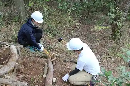 息の合ったくい打ち