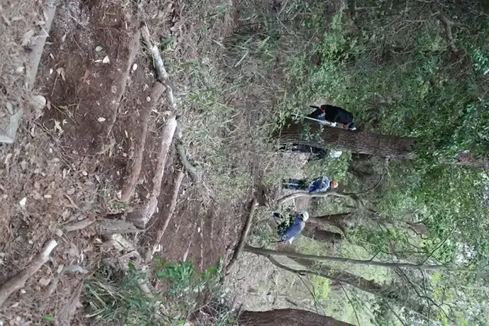 ECOWAYの森入口に階段が出来上がりました
