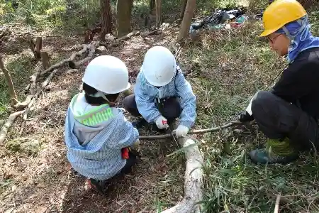 キッズのノコギリ実習