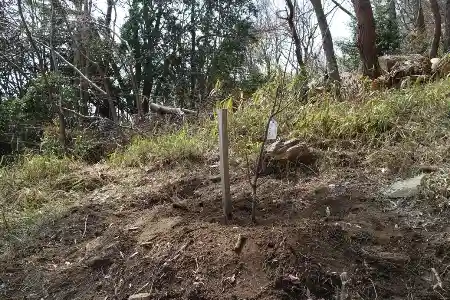 地下茎刈りが完了