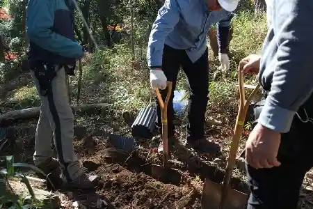 ネザサの侵入を防ぐための畔シート張り