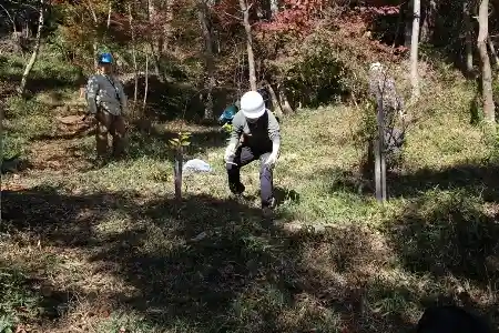 コツコツとネザサ刈り