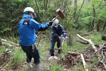 植樹の添木の竹を打ち込みます。