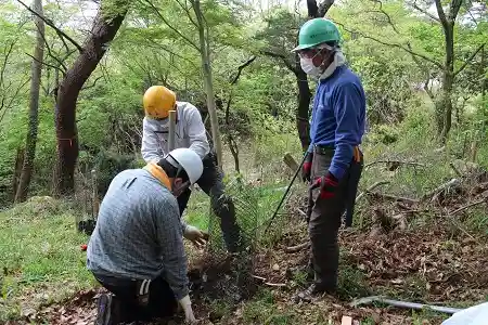 植樹の周りをネットで防御