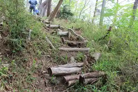 傾斜が急な場所に、作業道を敷設中