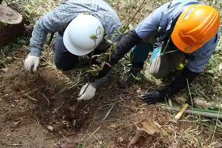 NPOの方の指導のもと苗木を植えます
