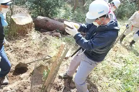 打ち込んだら完成!