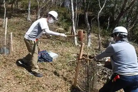 名標杭を建てて植樹完了！