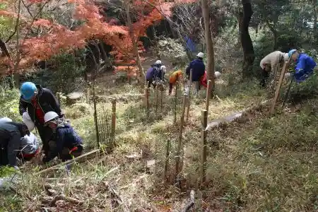 みんなで苗木を植樹