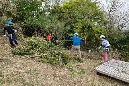 倒した木を処理
