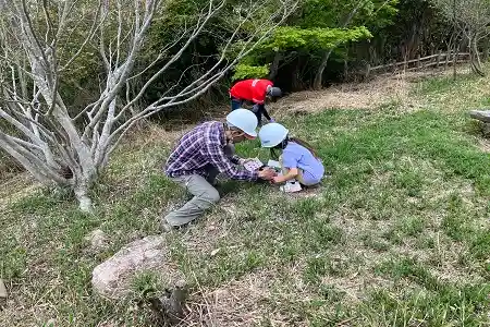 フィールドビンゴで遊ぶ