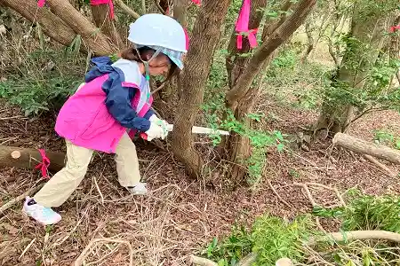 立木伐採にも挑戦