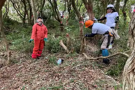 森の立木伐採