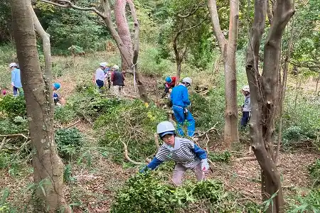 倒した木を処理