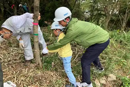 立木伐採も体験