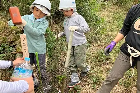 植樹