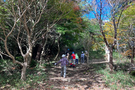 明るくなった登山道
